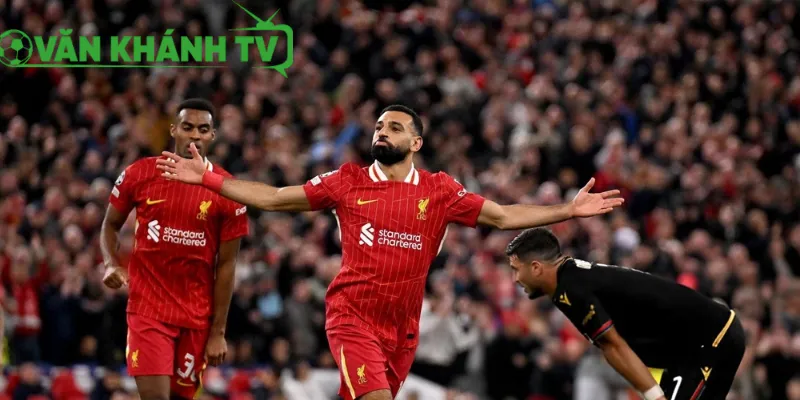 Phong độ gần đây của Liverpool vs Real Madrid trước cuộc so tài tại Anfield